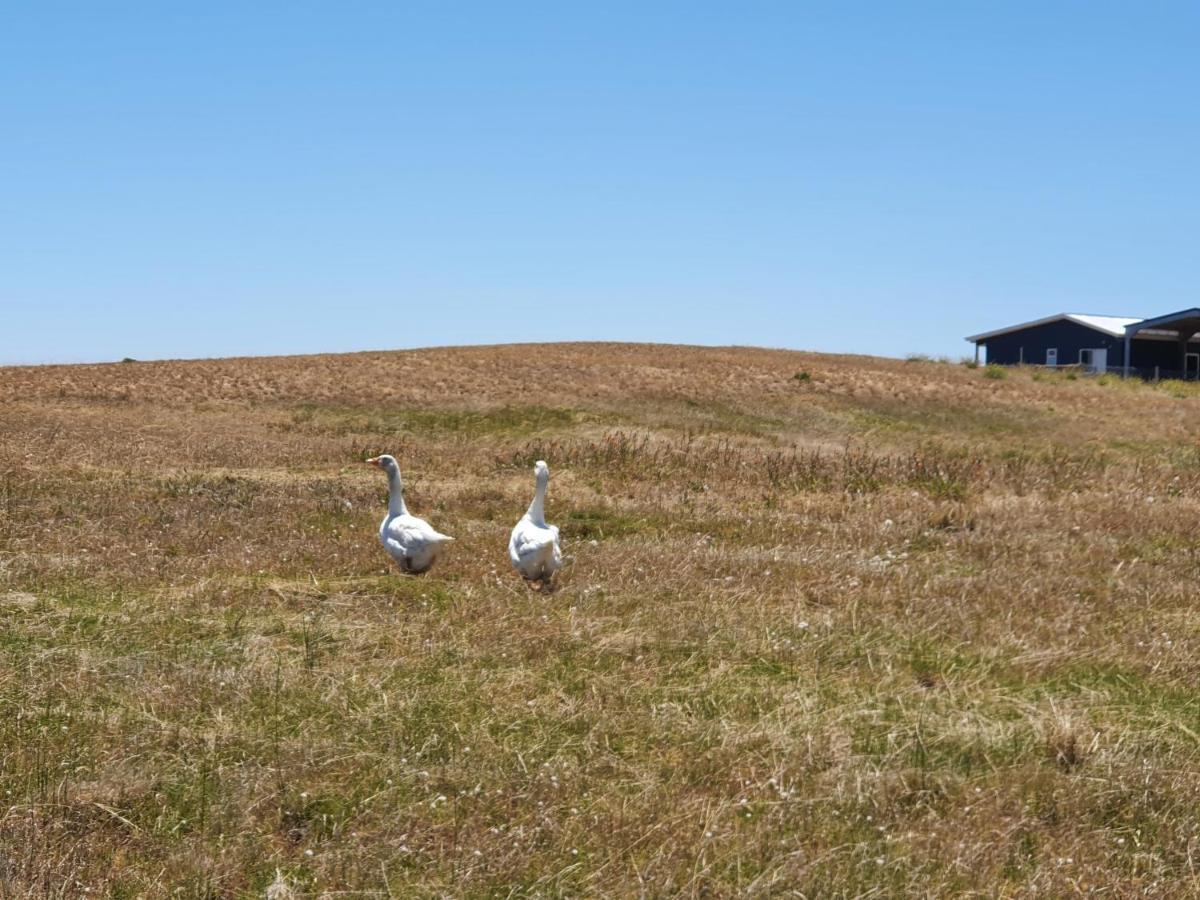 Coorong Island Retreat - Farm Stay At Pet Friendly Property Meningie Exteriör bild