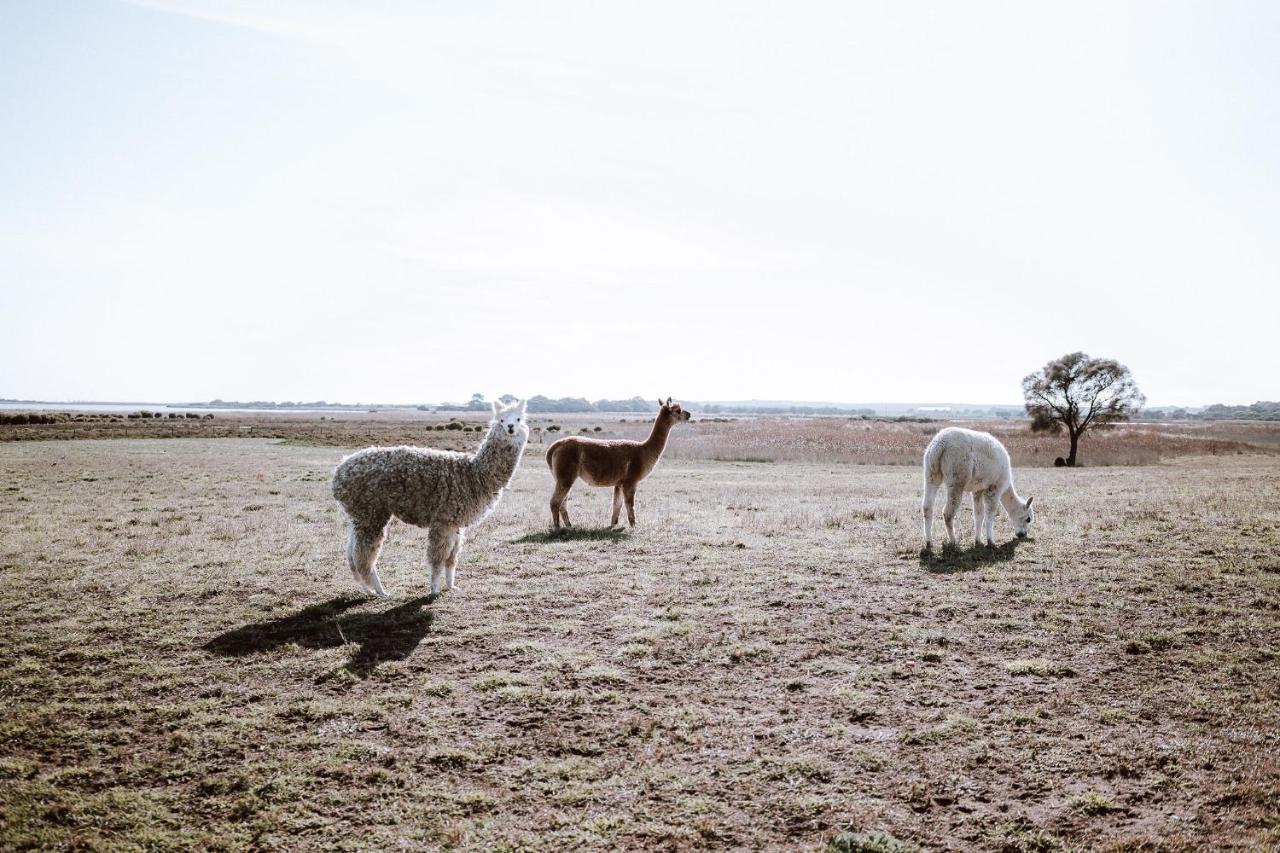 Coorong Island Retreat - Farm Stay At Pet Friendly Property Meningie Exteriör bild