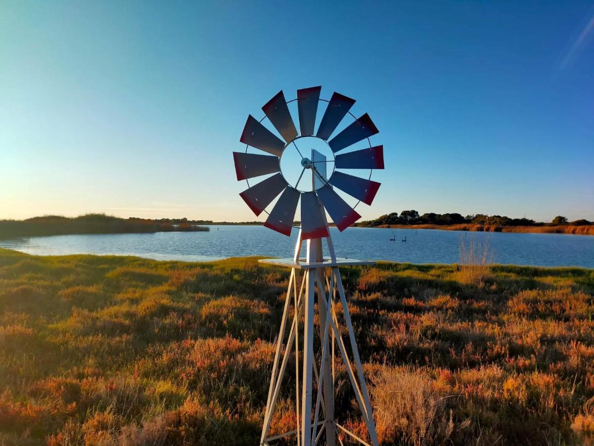 Coorong Island Retreat - Farm Stay At Pet Friendly Property Meningie Exteriör bild