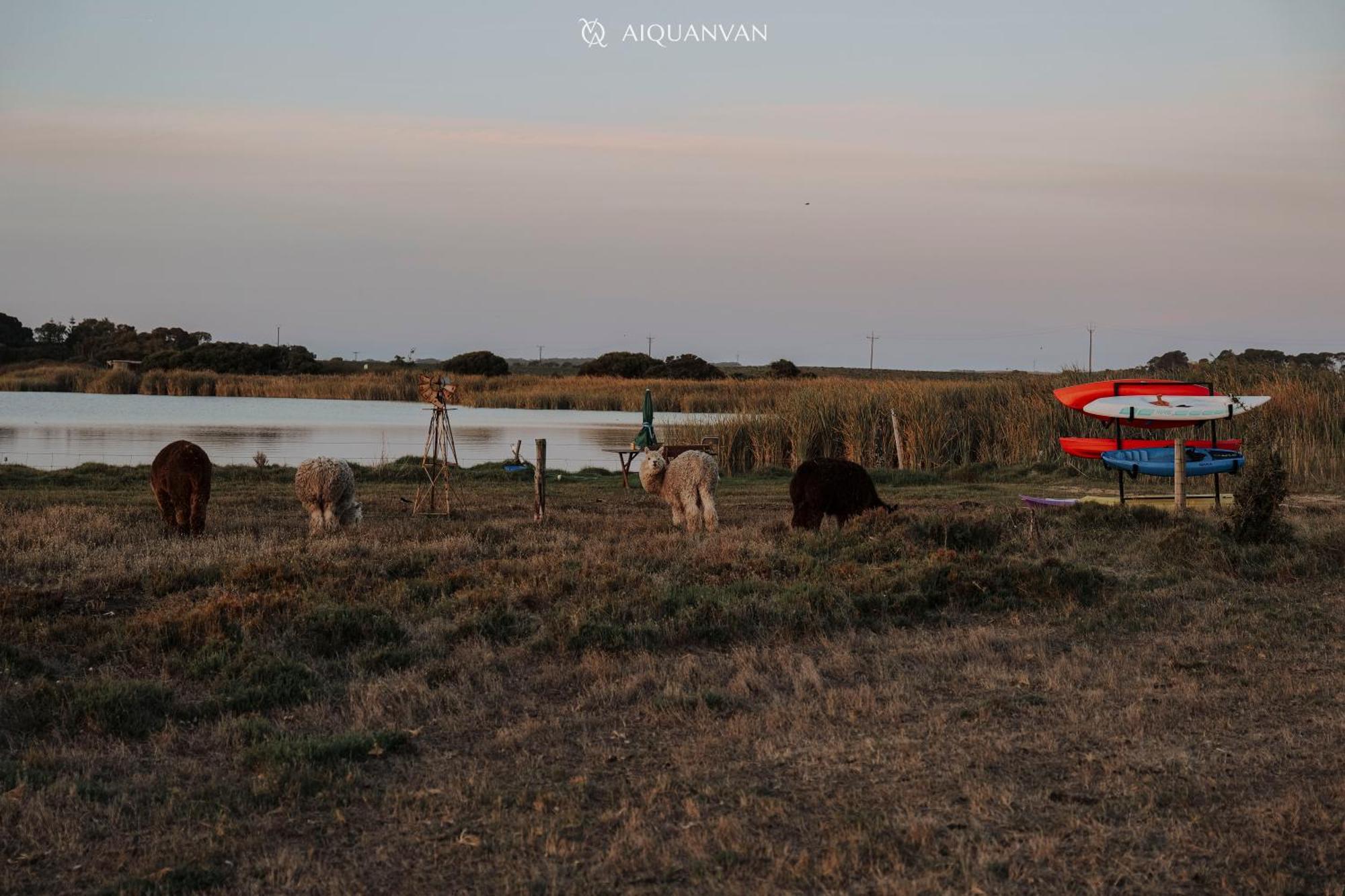 Coorong Island Retreat - Farm Stay At Pet Friendly Property Meningie Exteriör bild
